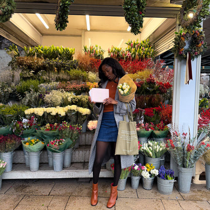 TDL Essentials (3 in 1 bundle)